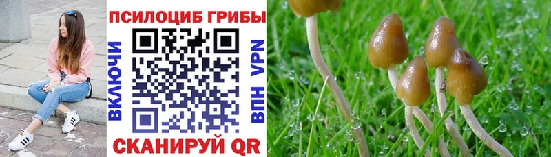 Галлюциногенные грибы ЛСД  где купить наркотик  Углич 