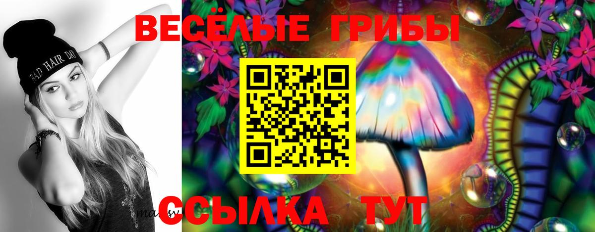 Углич  Псилоцибиновые грибы мухоморы  Вход с VPN 